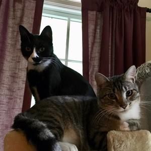 Meet your Posher, Nancy